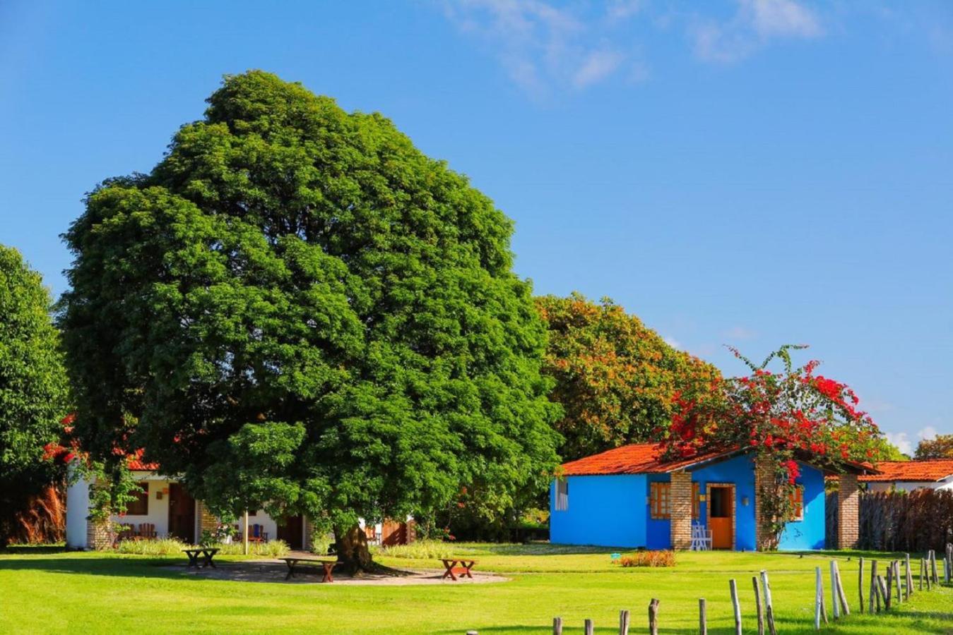 Pousada Xales De Maracaipe Pôrto das Galinhas المظهر الخارجي الصورة